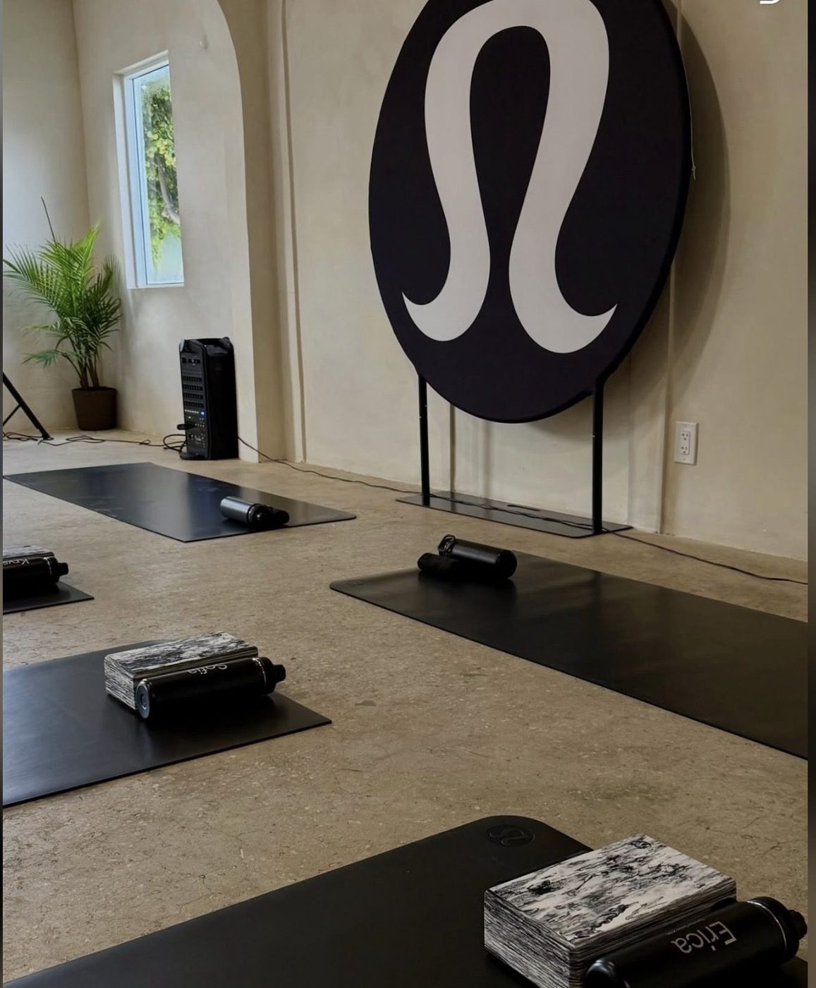 Yoga mats laid out inside the bright studio